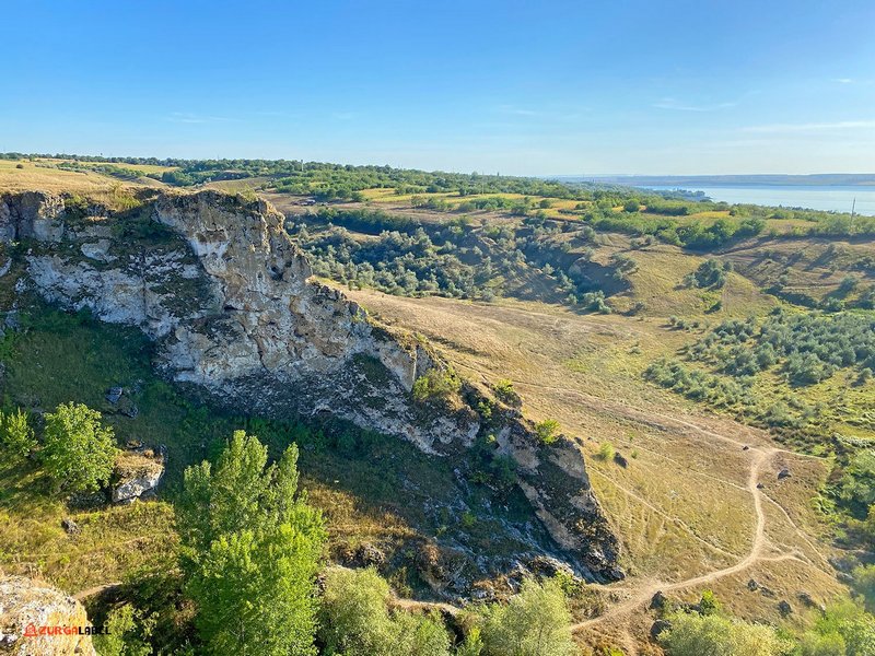duruitoarea-zurgalabel (2).jpg