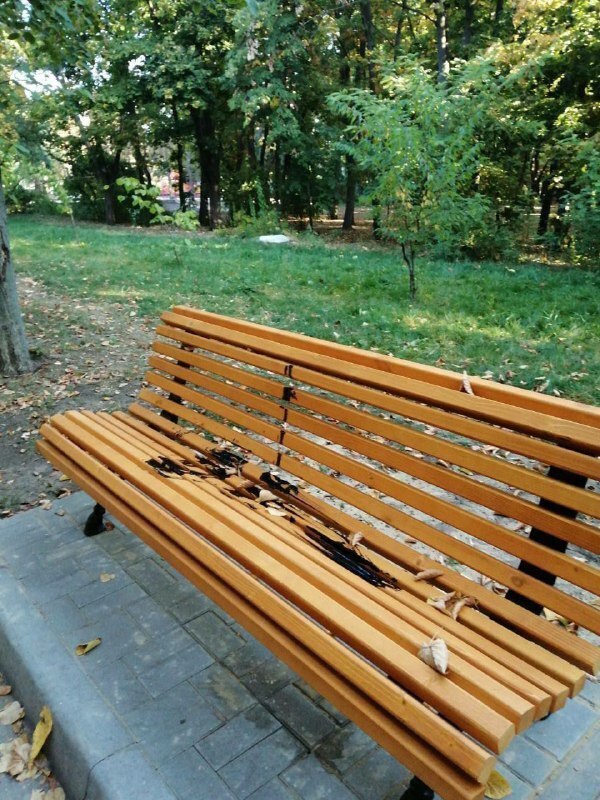 лллл.jpg