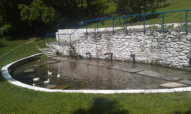 Родники Теплица.jpg