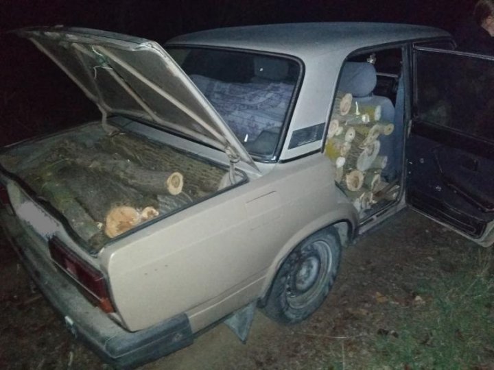 lada1.jpg