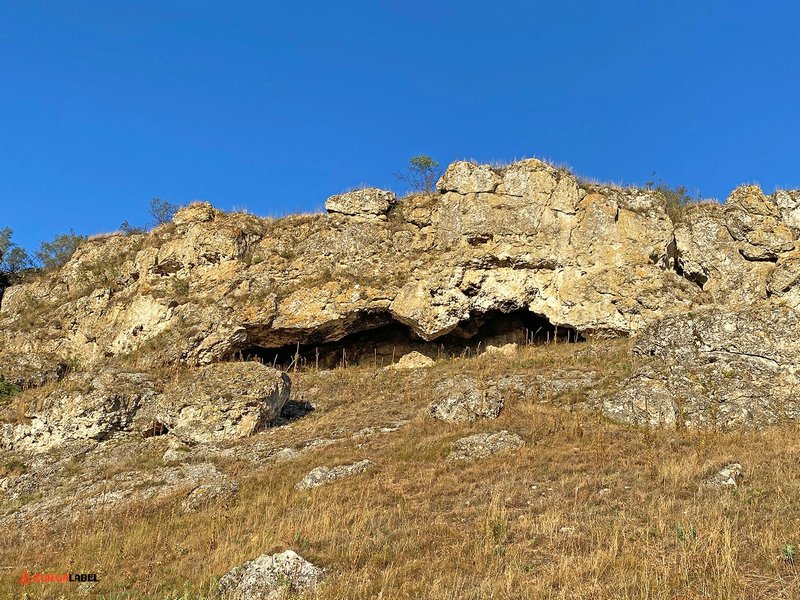 duruitoarea-zurgalabel (15).jpg