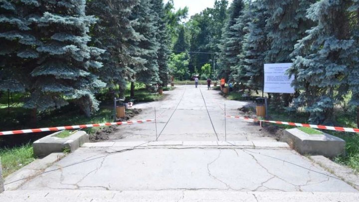 photo.jpg