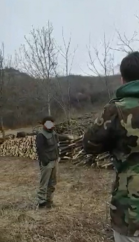 лес.jpg