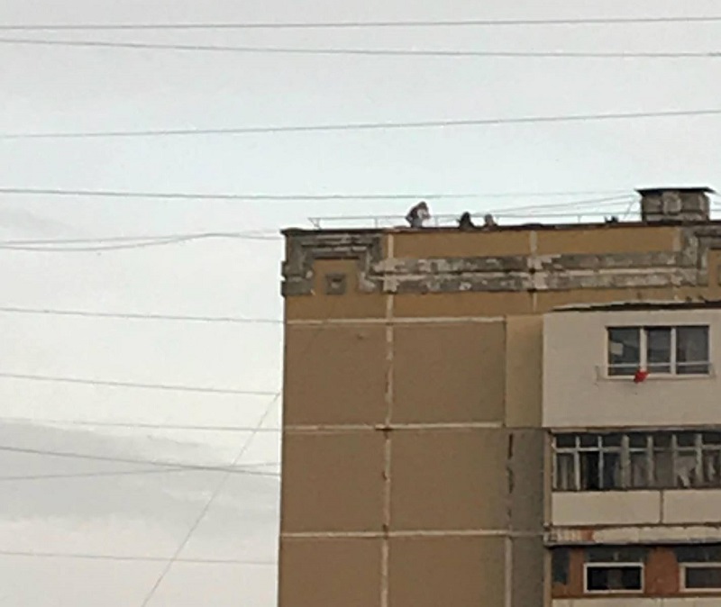 крыш2.jpg