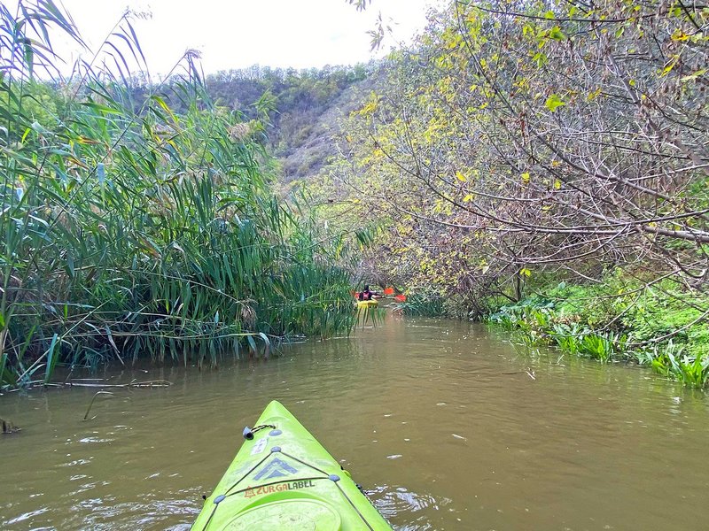 rafting-reut (7).jpg