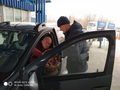 руль.jpg
