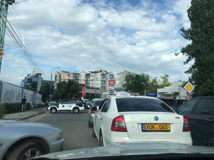 нэст2.jpg