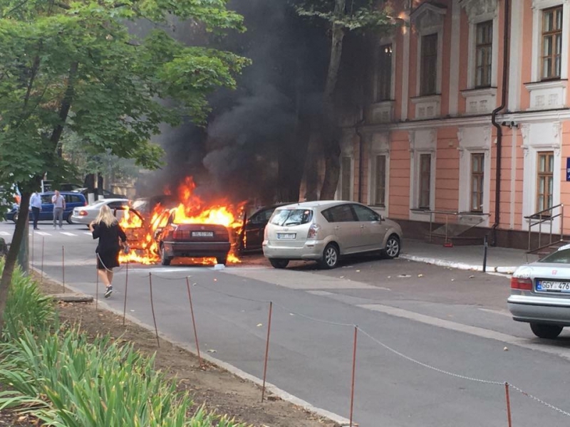 pojar1.jpg