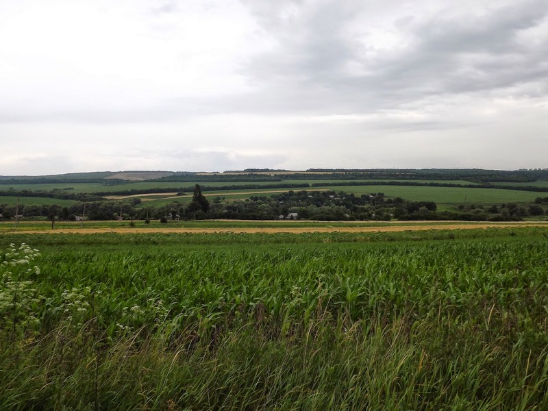 DSCF7937.JPG
