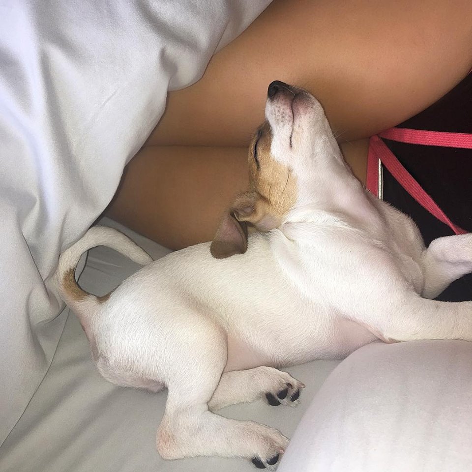 Ксения Дели показала подарок мужа на 8 Марта Ксения Дели показала подарок мужа на 8 Марта