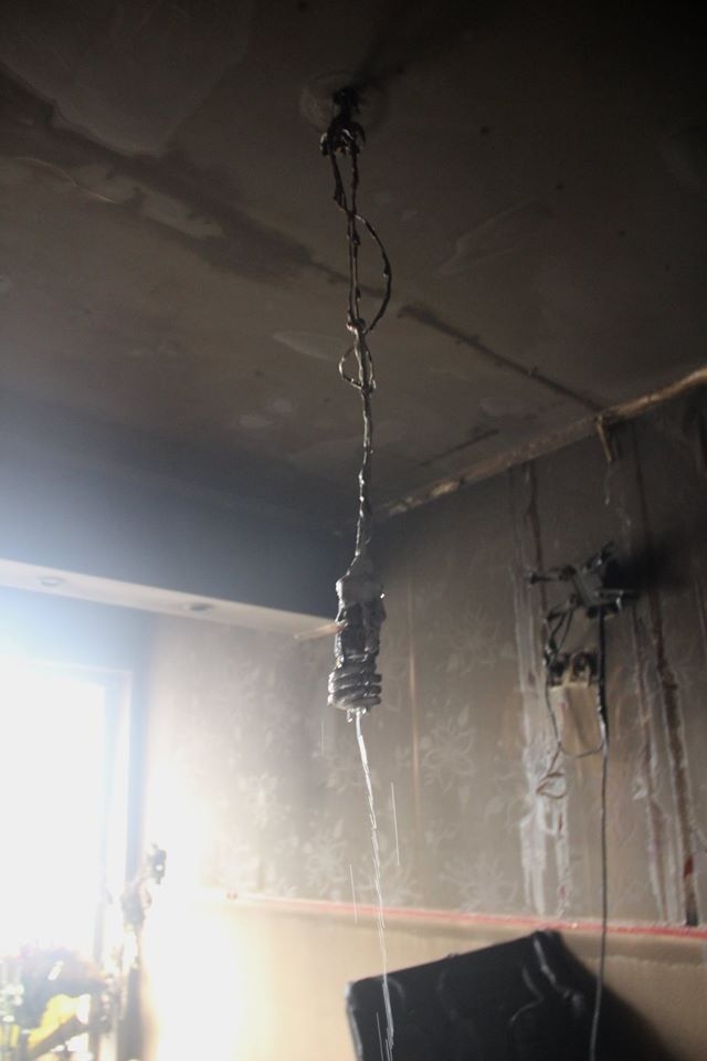 3169801.jpg