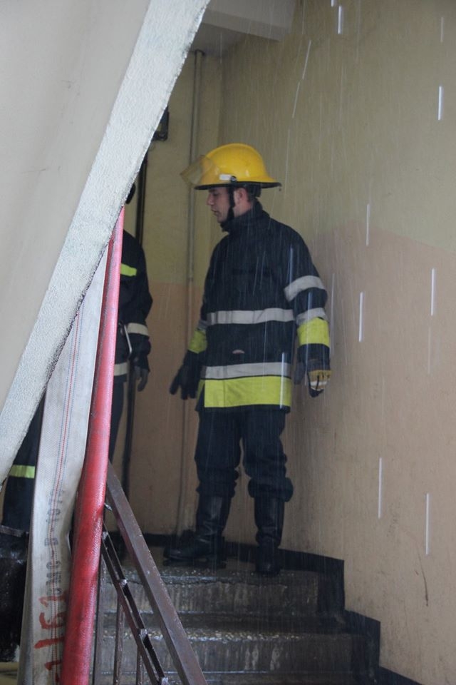 3169761.jpg