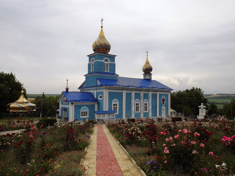DSCF7892.JPG