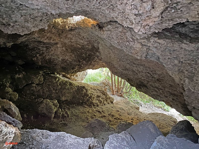 duruitoarea-zurgalabel (16).jpg