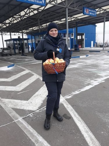 андис1.jpg